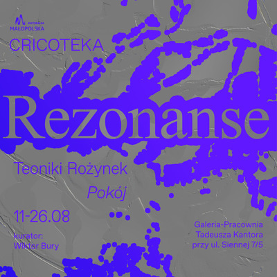 Plakat wydarzenia:  REZONANSE: Teoniki Rożynek | Koncert otwarcia 